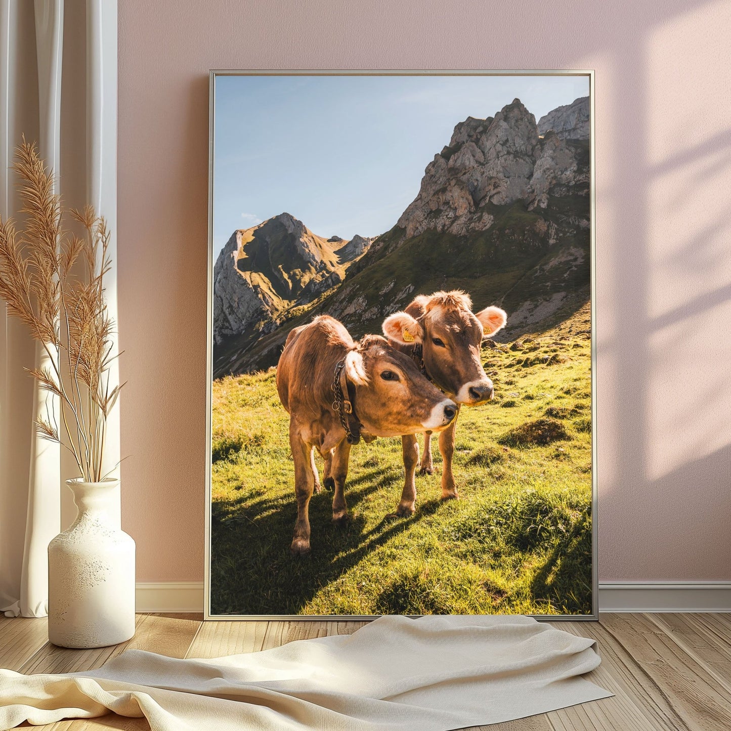 A close and friendly moment of Alpine cows set against Appenzell's Swiss Alps landscape.