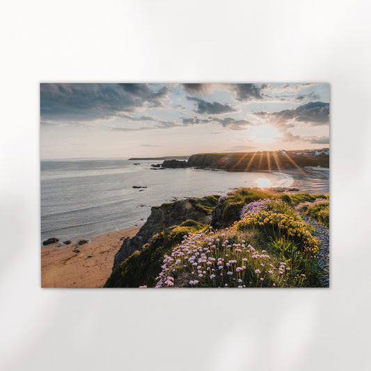 Sunset over the Atlantic Ocean from the cliffs of Annestown Beach