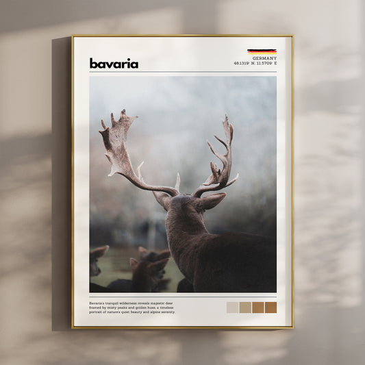 Bavaria red deer stag Germany wildlife photography print in gold float frame mounted on warm beige wall with window light shadows