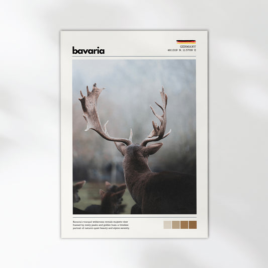 Unframed Bavaria red deer stag Germany fine art print on white background showing majestic elk antlers in misty Bavarian wilderness