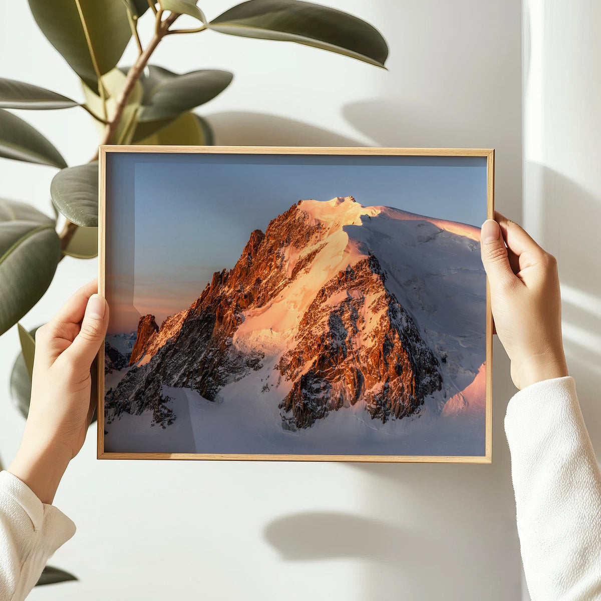 Hands holding a framed print of Mont Blanc du Tacul in a studio setting with plants nearby