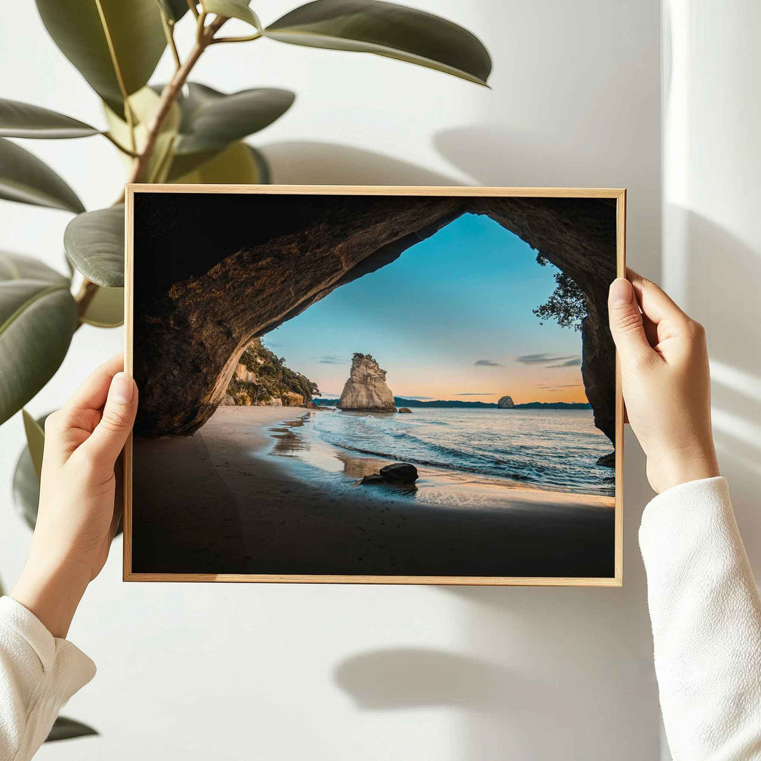 Hands holding framed Cathedral Cove sunrise landscape photography print in natural oak frame against white wall with large leaf plant