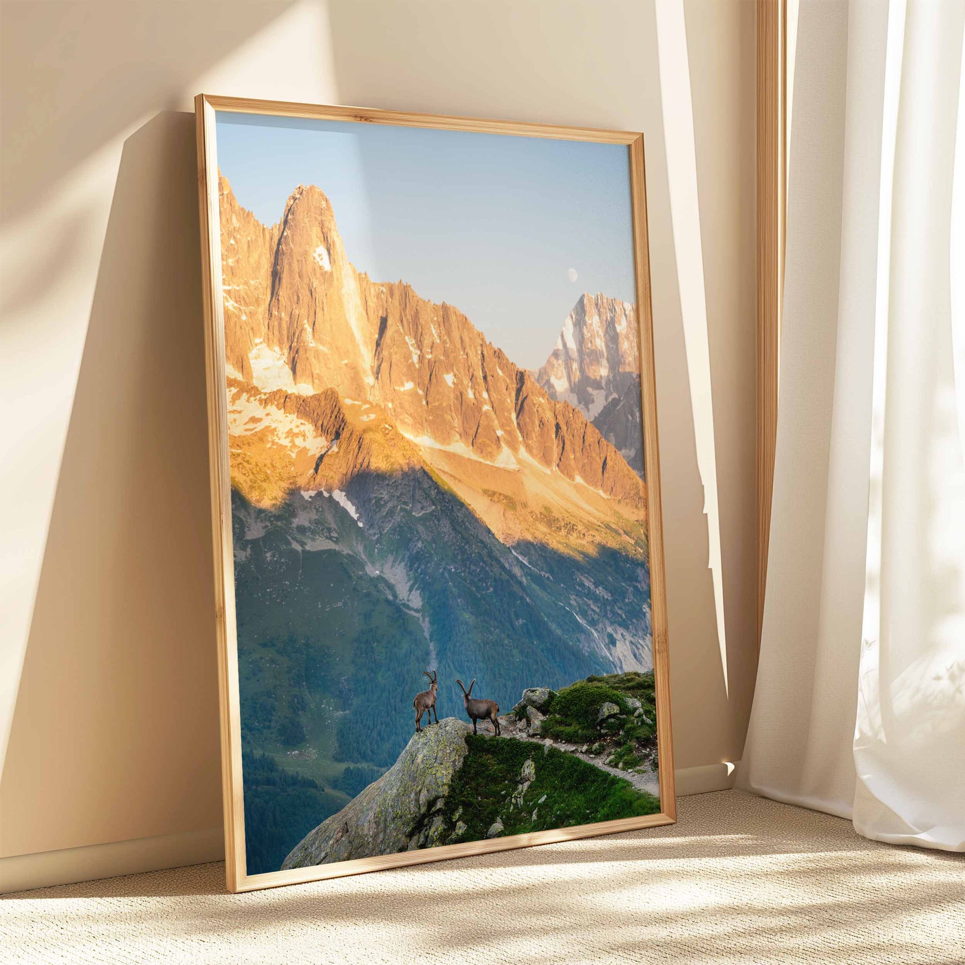 Chamonix ibex sunset print in a sleek white frame, highlighting golden mountains and wildlife