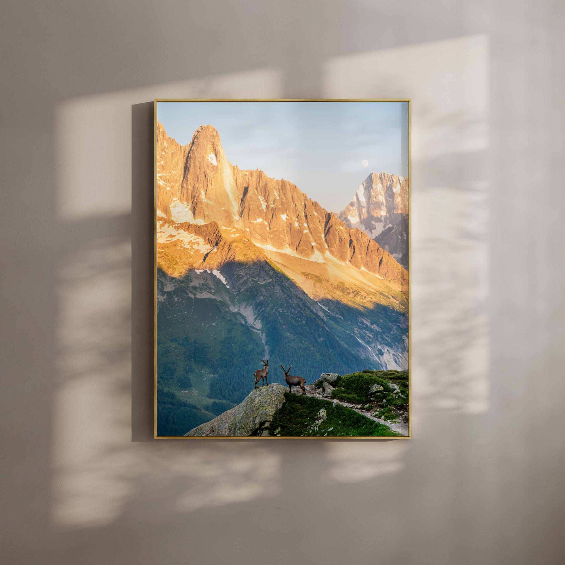 Golden-hour view of Chamonix with two ibex standing on a ridge against a backdrop of golden mountains.