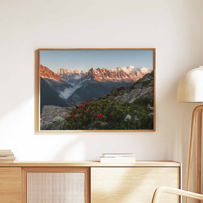 Mountain photography wall art of the French Alps with the Mont Blanc range and vibrant flowers.