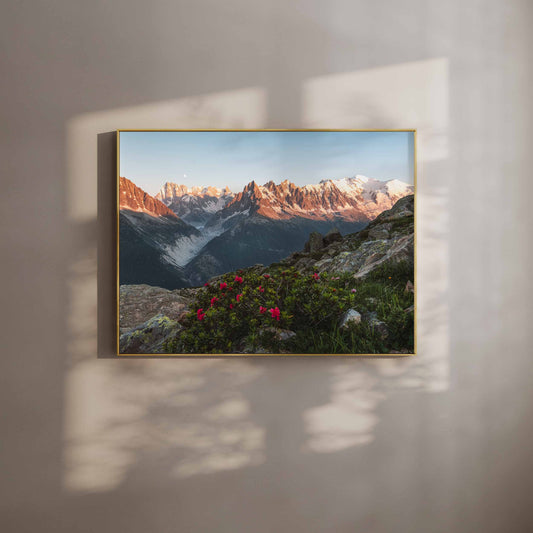 Chamonix wall art print featuring Mont Blanc massif at sunset with wildflowers in the foreground.