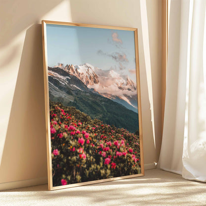 Springtime rhododendrons and Mont Blanc massif in stunning light