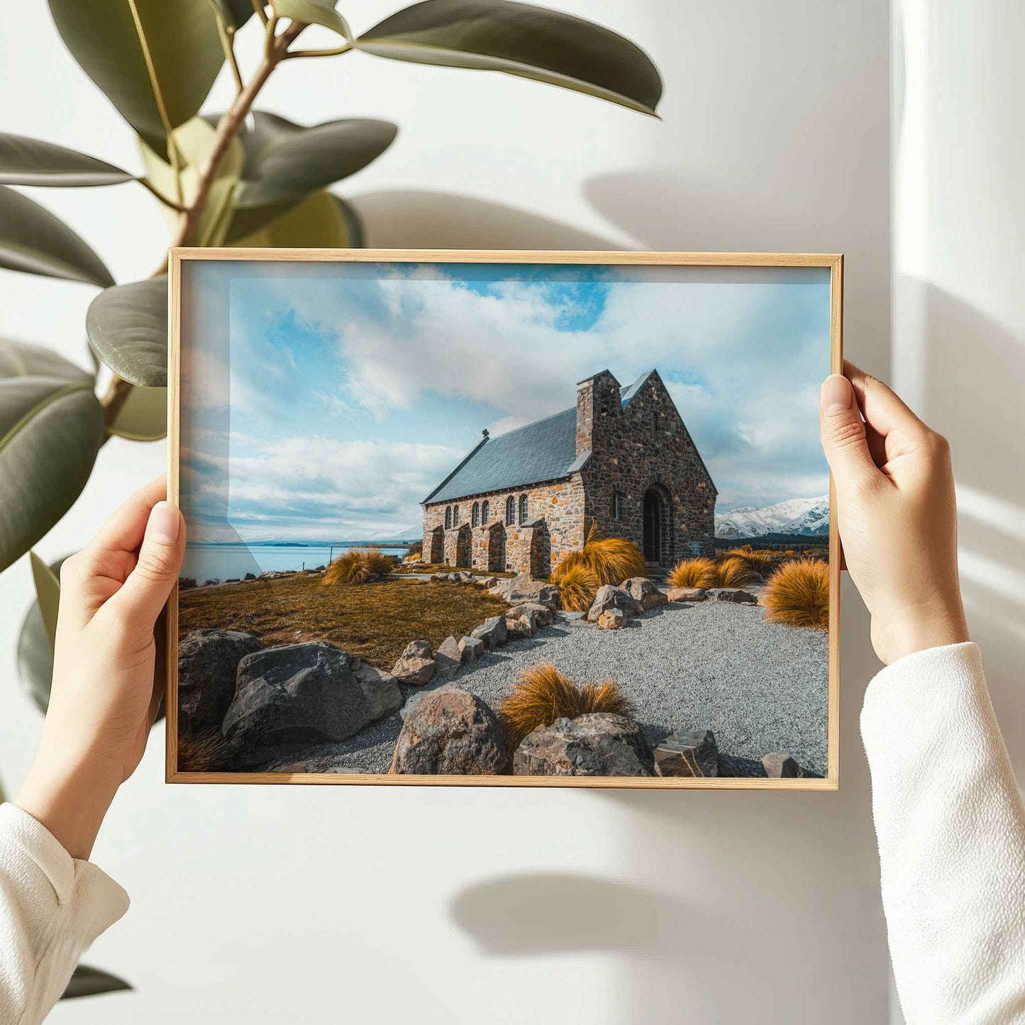Hands holding framed Church of the Good Shepherd Lake Tekapo photography print in natural oak frame against white wall with large leaf plant
