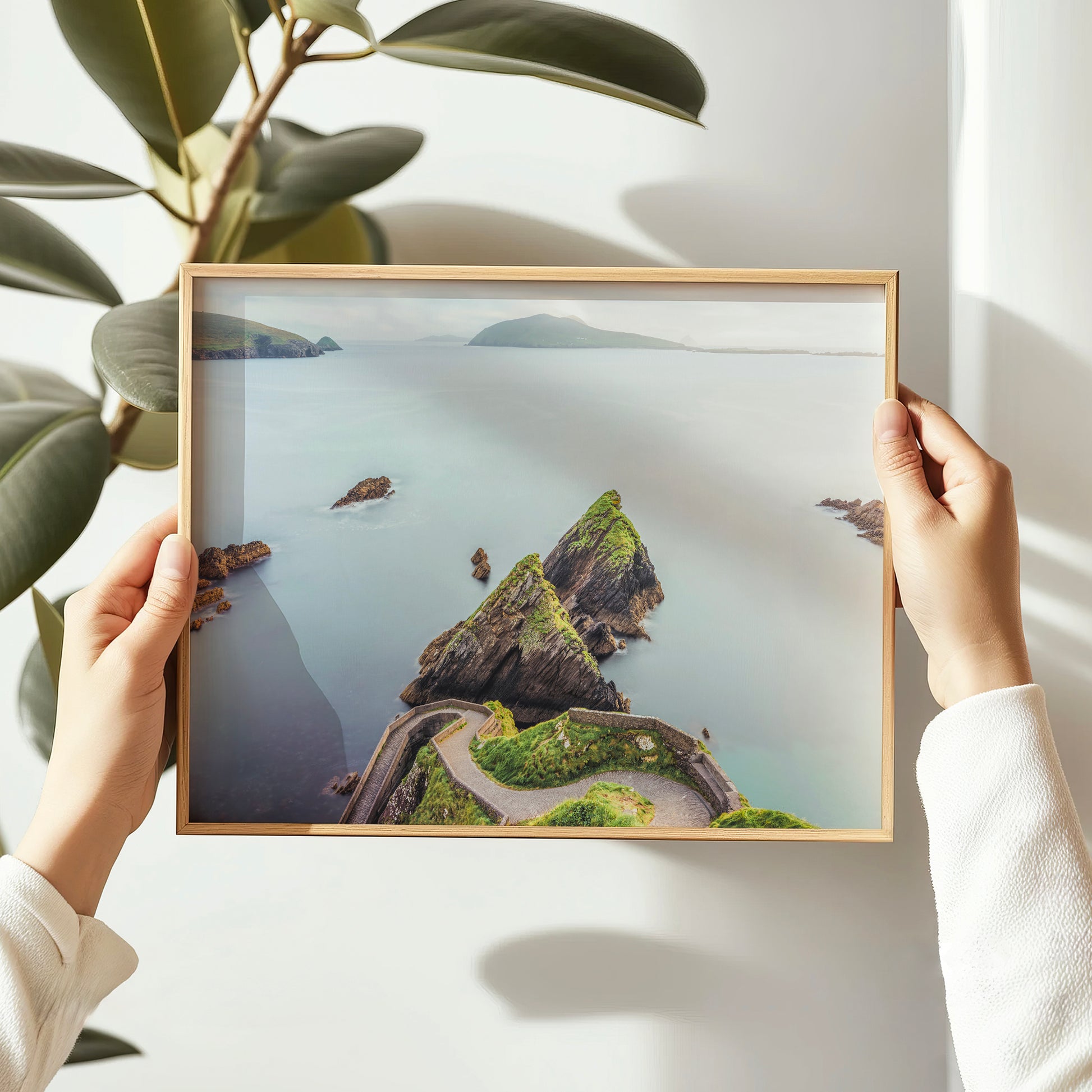 Dunquin Pier landscape photo held in hands near houseplant