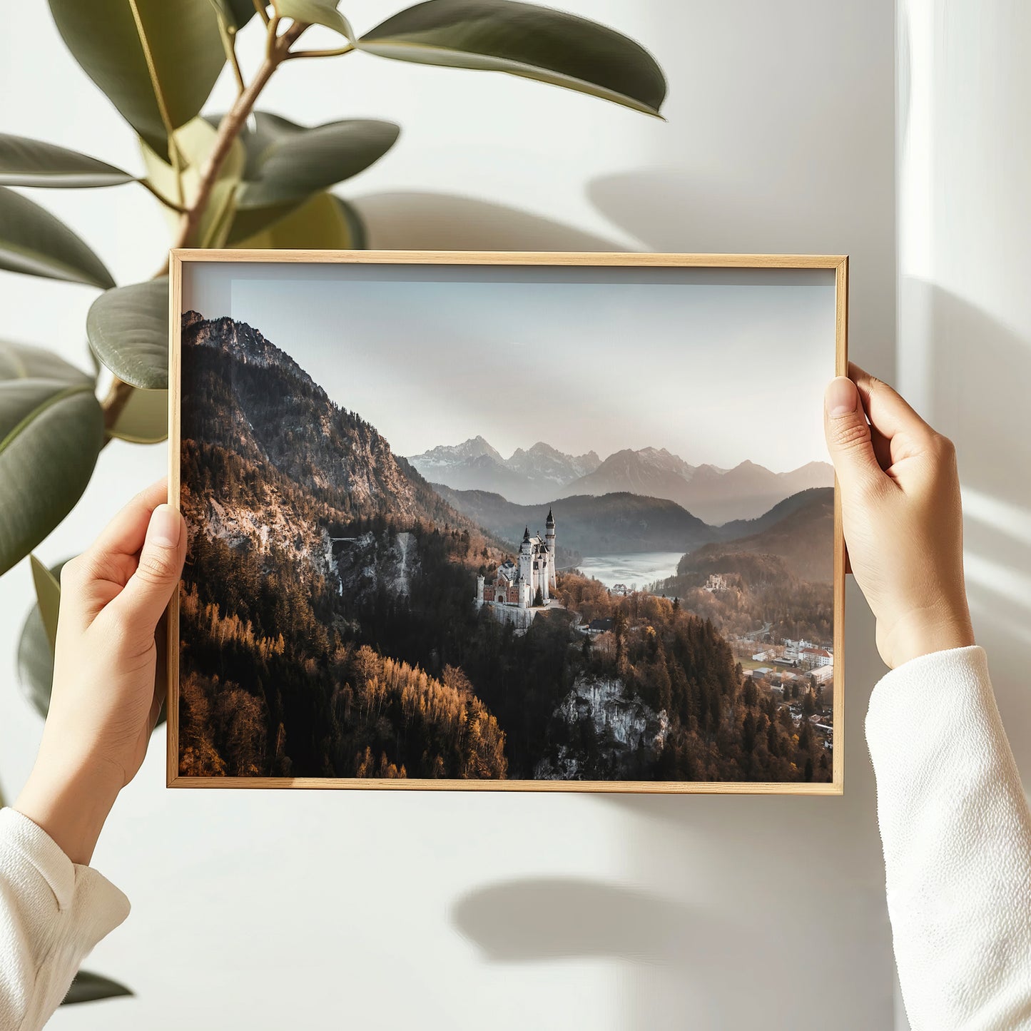 Drone photo of Neuschwanstein Castle perched above the forest