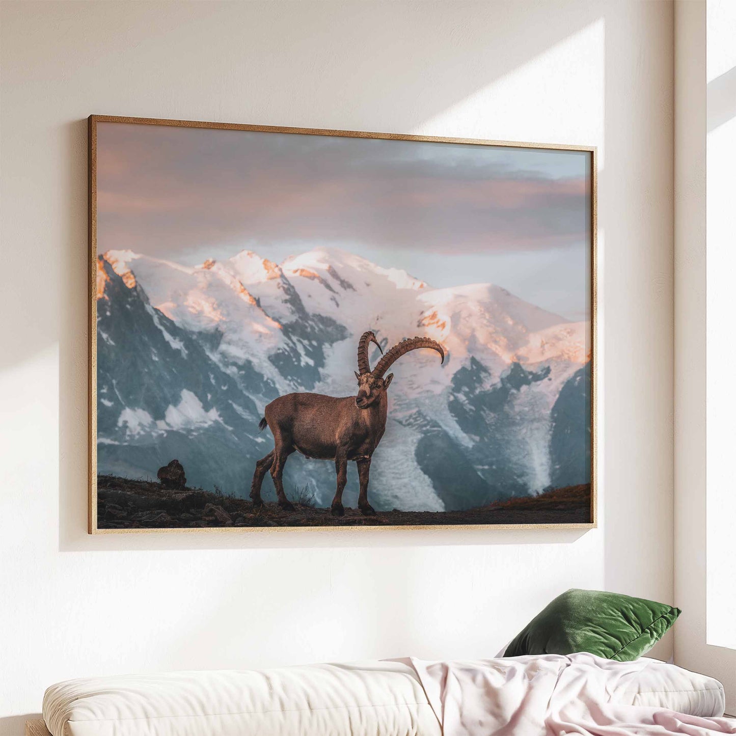 Beautiful ibex wall art print at sunrise in Chamonix, with Mont Blanc in the background, displayed in a natural wood frame.