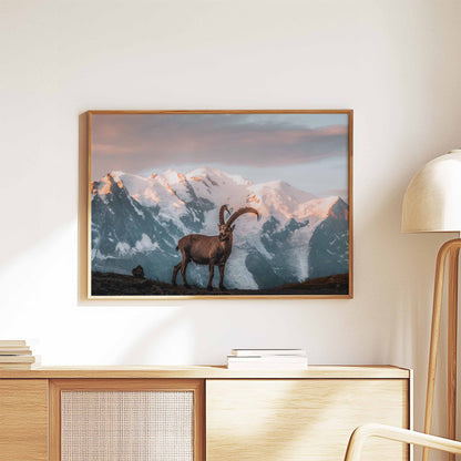 Chamonix ibex wall art print featuring Mont Blanc at sunrise, styled in a warm oak frame on a cozy interior wall.