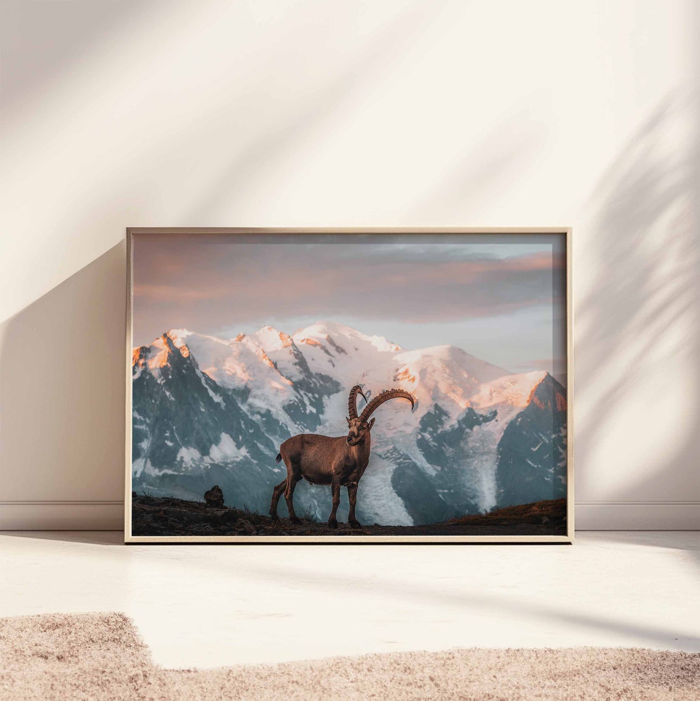 Ibex wall art print in Chamonix with a stunning Mont Blanc backdrop, framed and leaning against a minimalist light wall.