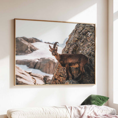 Elegant ibex on a rugged mountain rock, a stunning framed wall art with alpine scenery in natural tones.