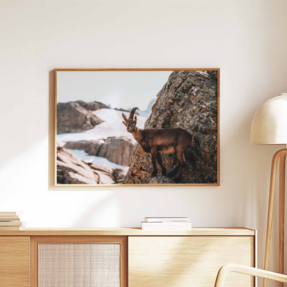 Rustic wall art of an ibex posing against snowy mountain peaks, displayed in a minimalistic living room.