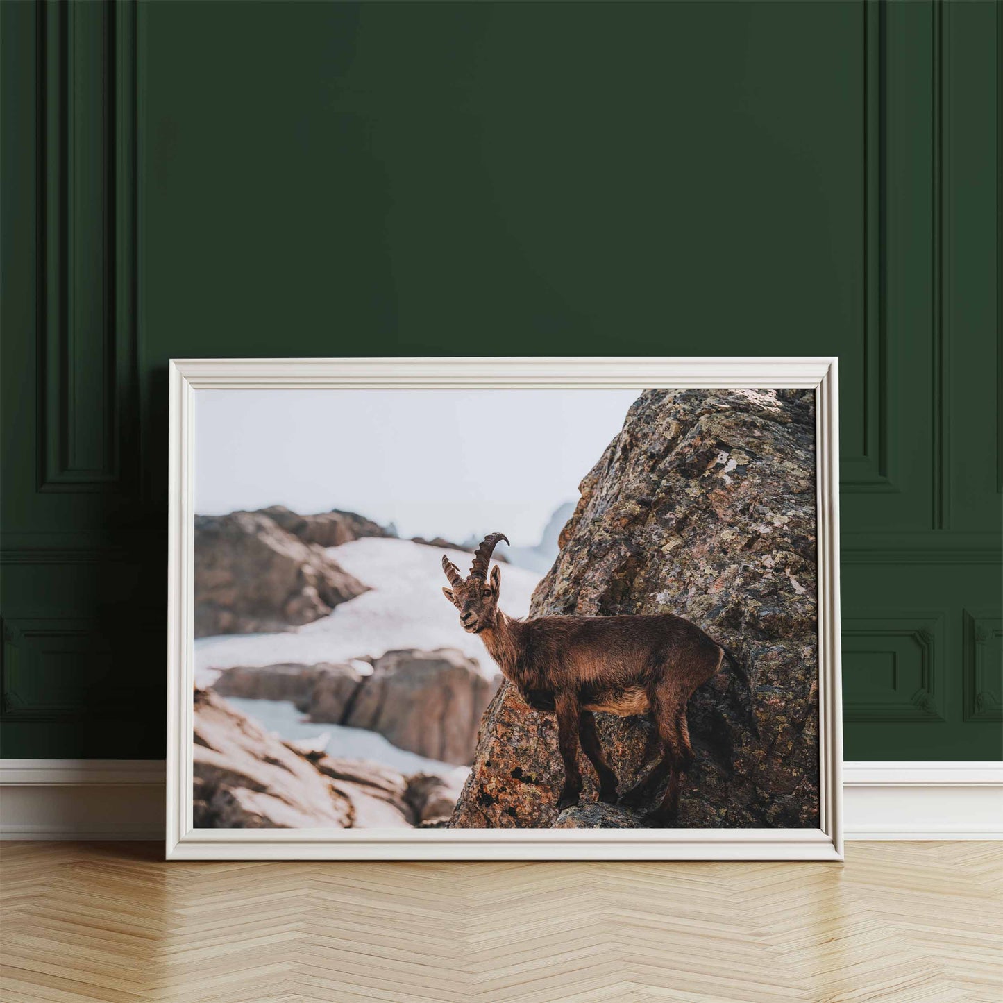 Sophisticated ibex mountain print, leaning against a dark green wall, with crisp detail and natural charm.