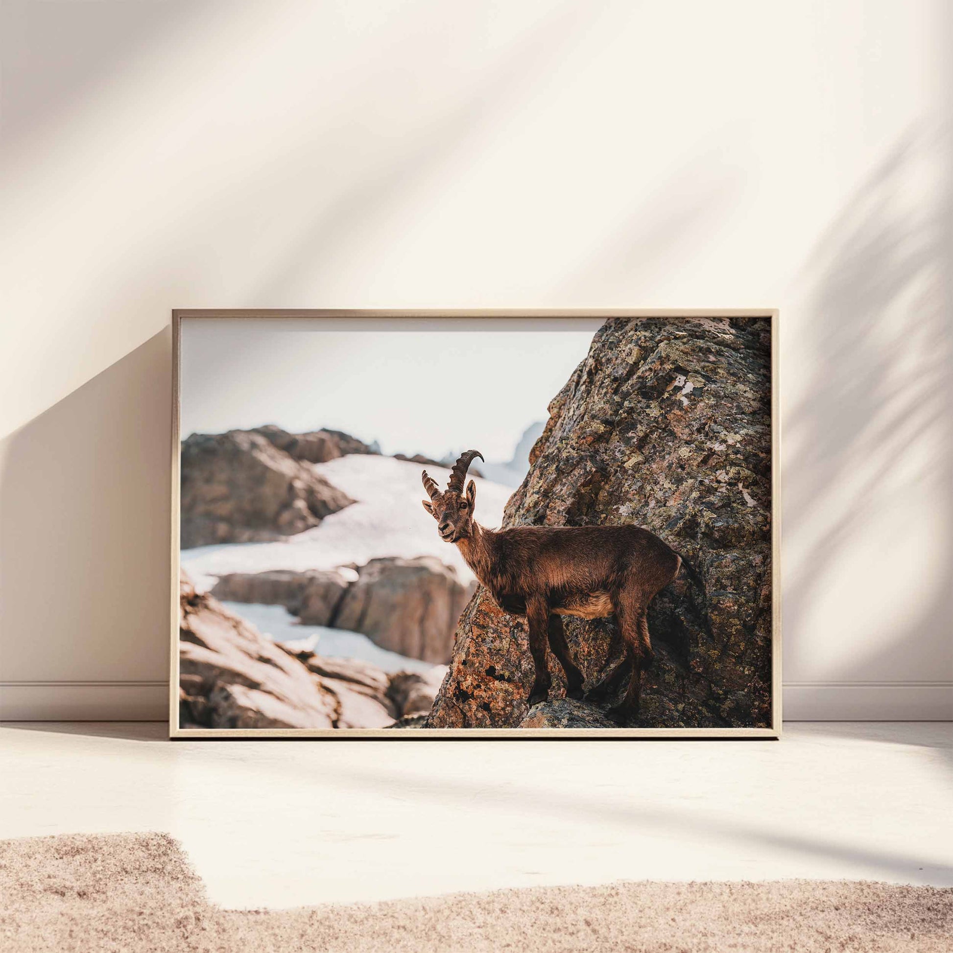 Horizontal wall art featuring an ibex and snow-covered peaks, showcased with neutral sunlight reflections