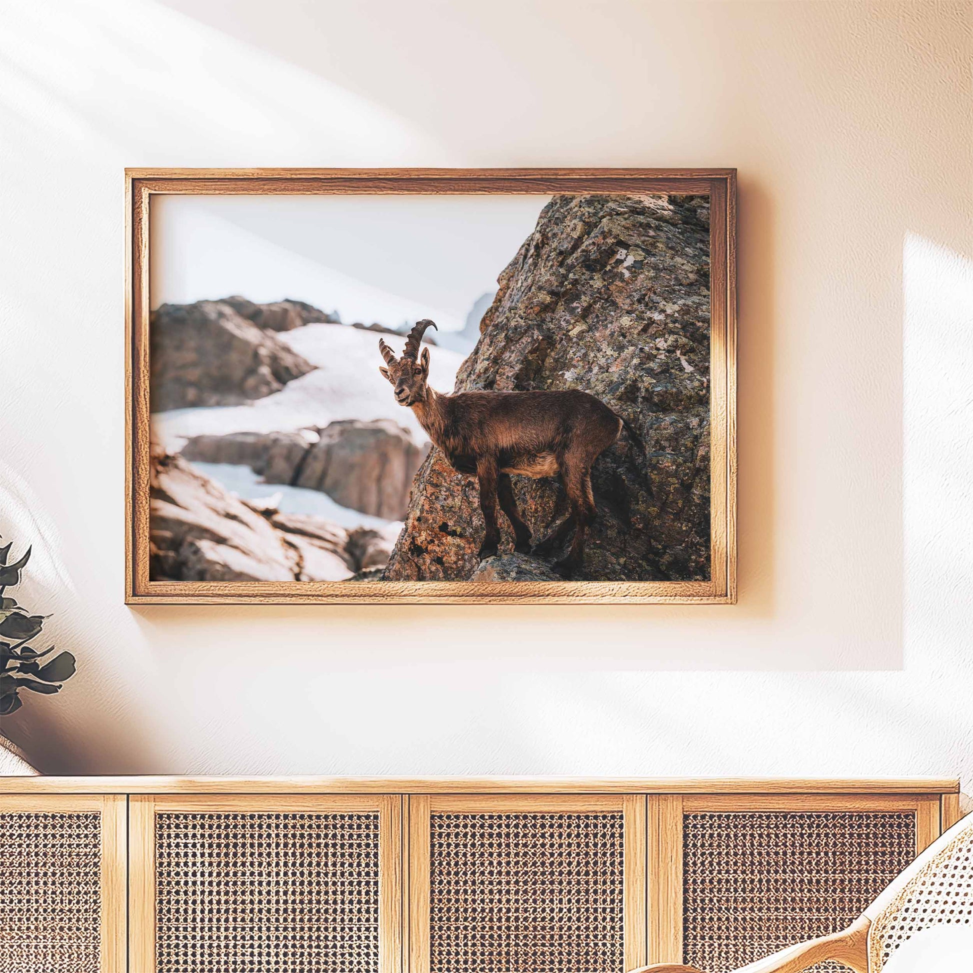 Alpine ibex wall print with natural tones, highlighted against a golden wooden frame in a cozy room setting