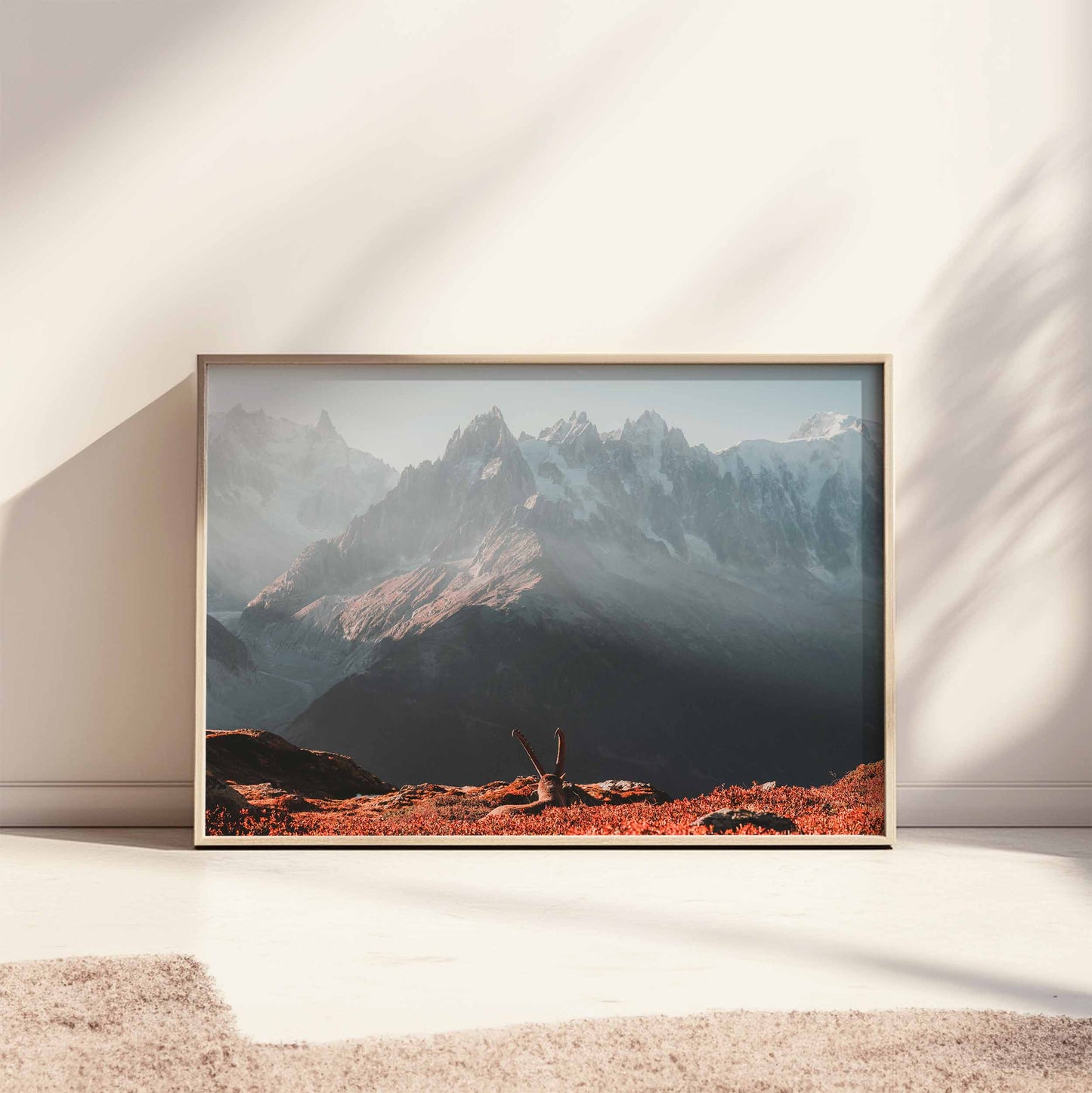 Sunrise scene of an ibex and Mont Blanc, framed wall art leaning against a wall.