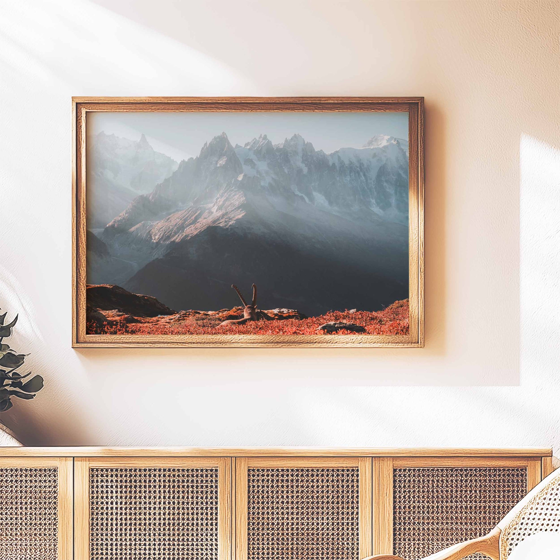 Chamonix wall art featuring an ibex at sunrise with Mont Blanc, in a cozy interior setting.