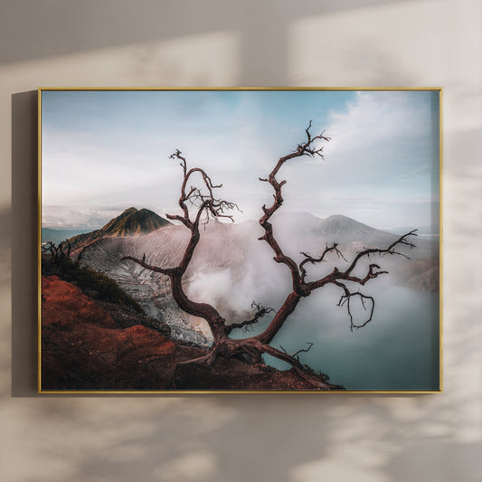 Ijen volcano dead tree framing turquoise crater lake East Java Indonesia wall art print in gold floating frame mounted on beige wall