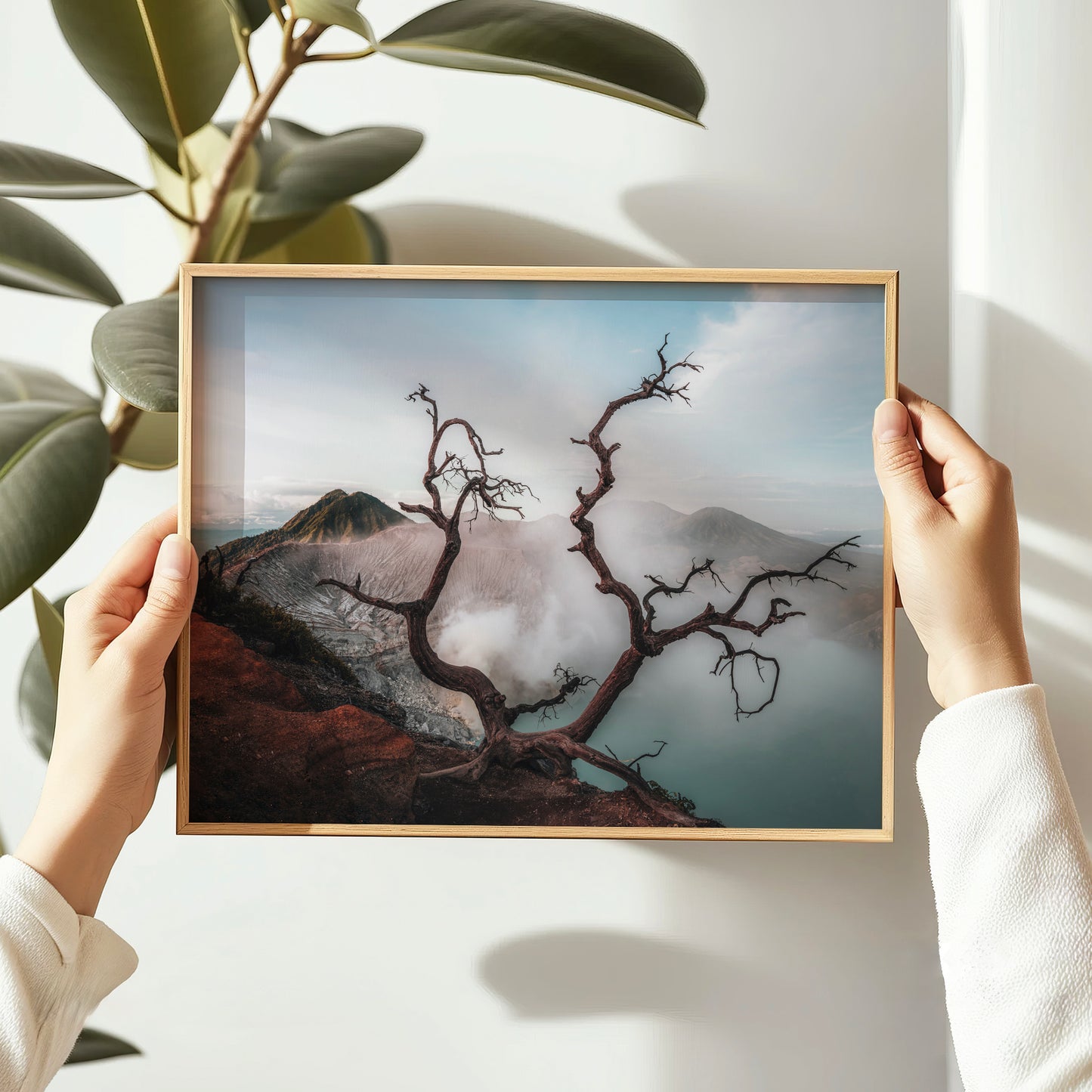 Hands holding Ijen volcano dead tree crater lake East Java Indonesia framed wall art print in natural oak wood frame against white wall
