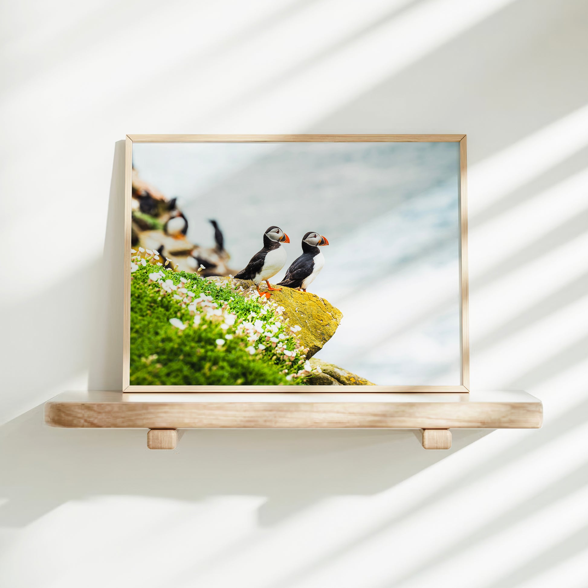 Puffin artwork resting on soft cream bedding with natural sunlight and shadows