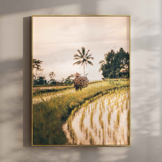 Jatiluwih Rice Fields Bali wall art print featuring terraced landscape and farmer