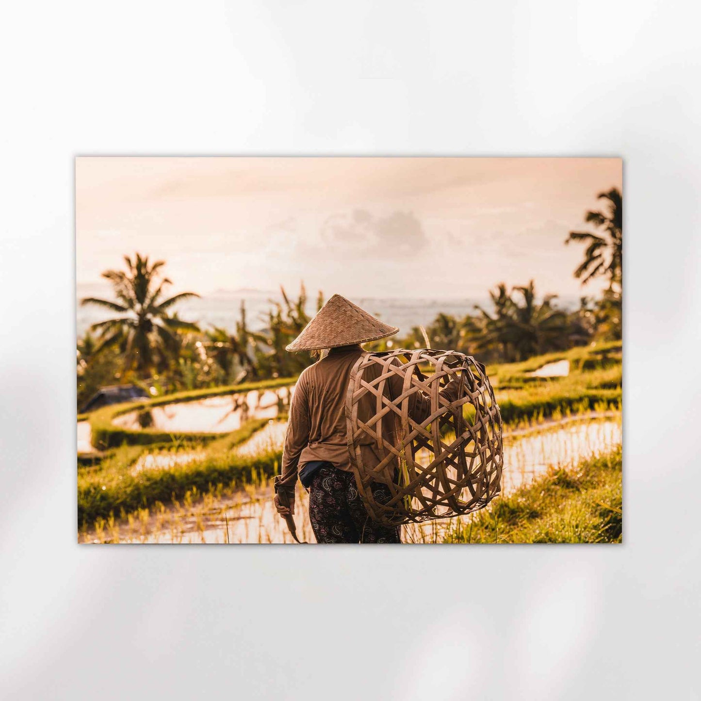 Unframed photography print of a Balinese farmer at Jatiluwih Rice Terraces Bali on white background