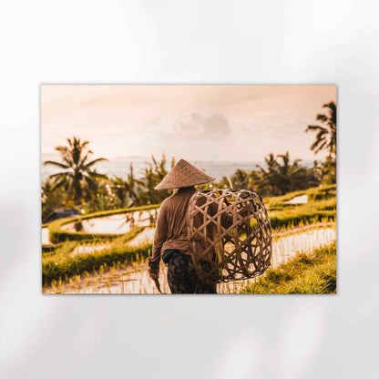 Unframed photography print of a Balinese farmer at Jatiluwih Rice Terraces Bali on white background