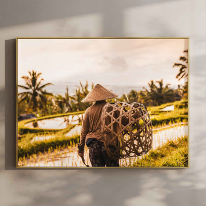 Framed print of a Balinese farmer at Jatiluwih Rice Terraces Bali in a gold float frame mounted on a wall
