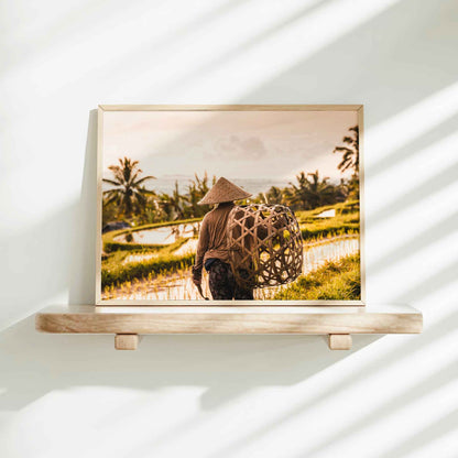 Gold framed print of a Balinese farmer at Jatiluwih Rice Terraces Bali on a minimalist wall shelf with soft natural light