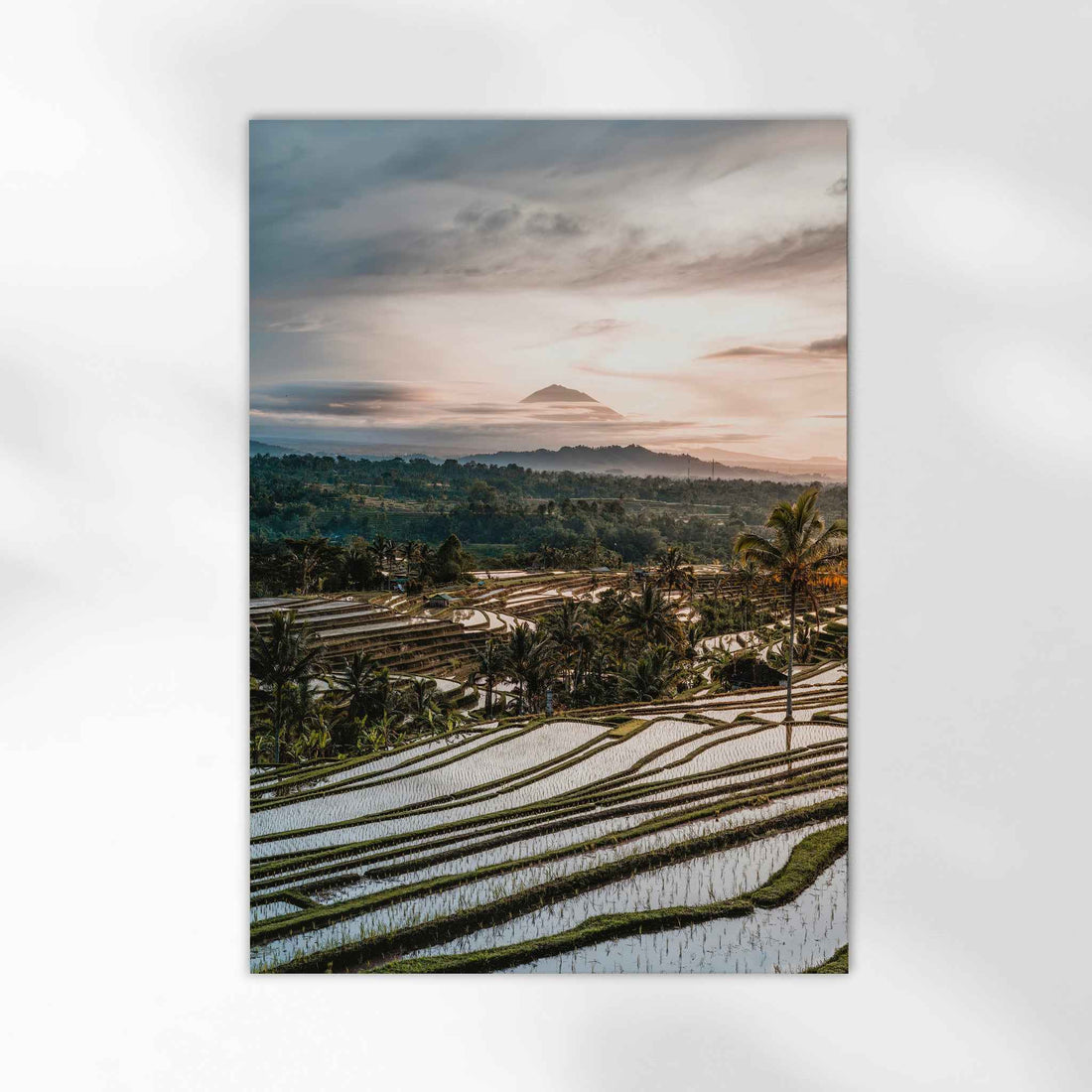 Jatiluwih rice terraces Bali travel photography print with Mount Agung unframed on white background