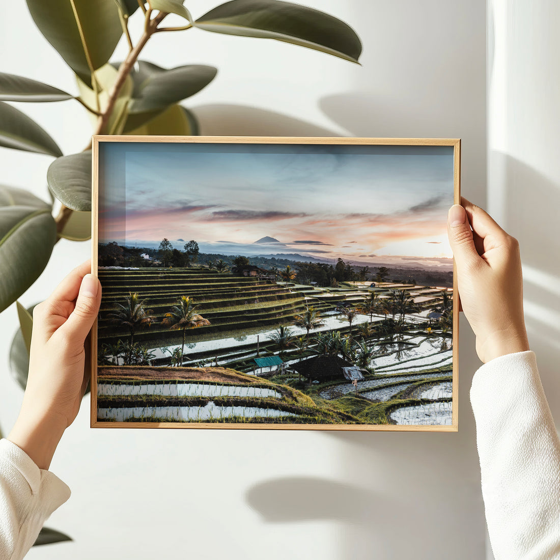 Person holding a natural wood framed sunrise print of Jatiluwih Rice Terraces Bali Indonesia