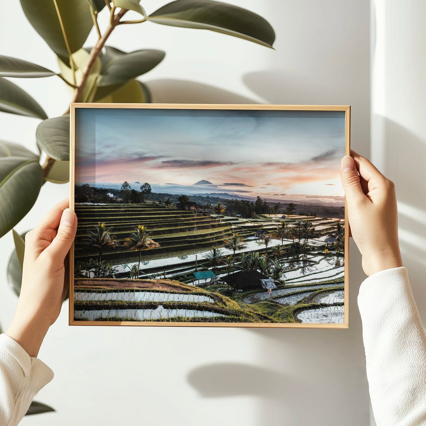 Person holding a natural wood framed sunrise print of Jatiluwih Rice Terraces Bali Indonesia