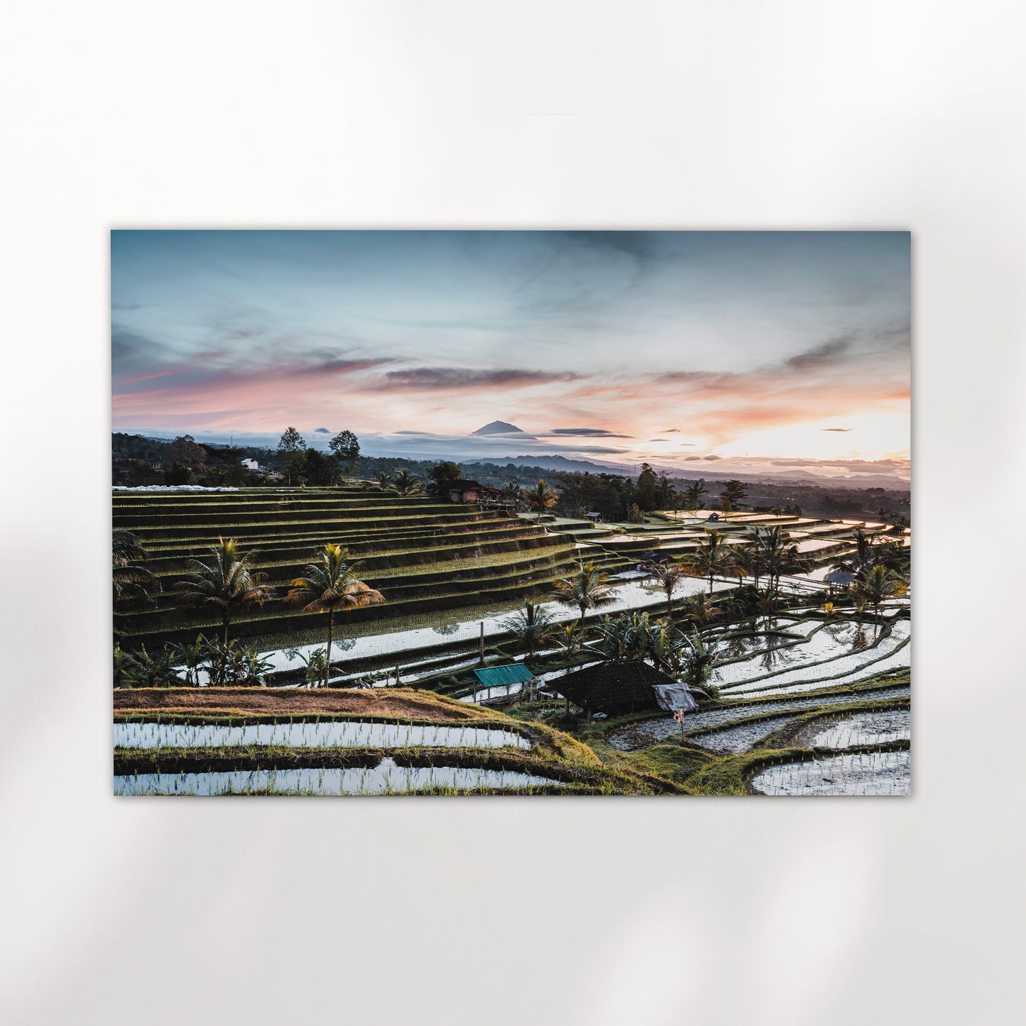 Unframed sunrise photography print of Jatiluwih Rice Terraces Bali Indonesia on white background
