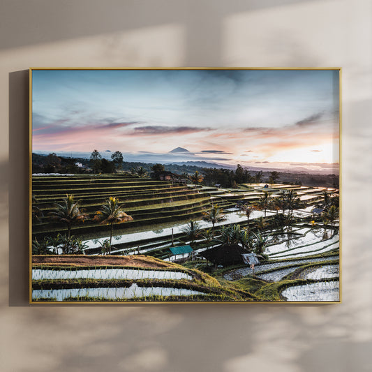 Framed sunrise print of Jatiluwih Rice Terraces Bali Indonesia in a gold float frame mounted on a wall