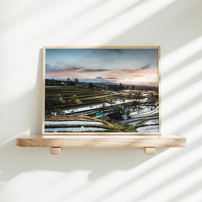 Gold framed sunrise print of Jatiluwih Rice Terraces Bali Indonesia on a minimalist wall shelf with soft natural light