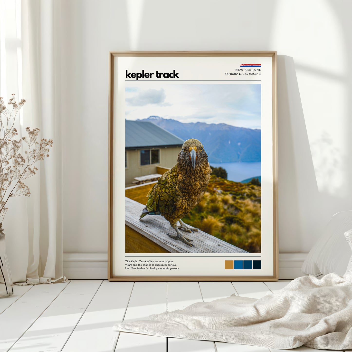 Kepler Track kea photography print displayed in soft natural light