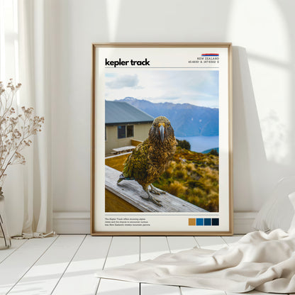 Kepler Track kea photography print displayed in soft natural light