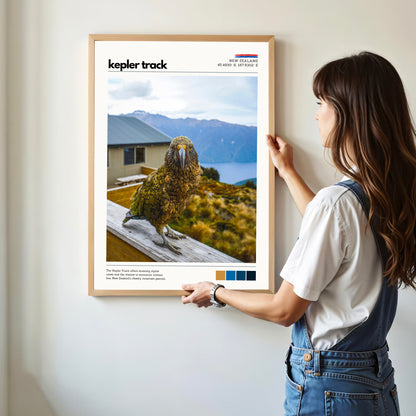 Kepler Track kea wall art print shown for scale on a wall