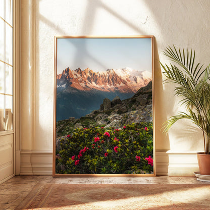 Massif du Mont Blanc landscape with vibrant flowers in the foreground