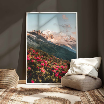 Rhododendrons in bloom beneath Mont Blanc massif in Chamonix