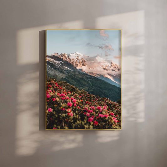 Mont Blanc massif framed by vibrant spring flowers in the Alps