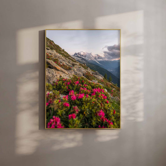 Wall art of vibrant pink spring flowers with the Mont Blanc massif in the background, perfect for alpine enthusiasts.