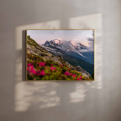 Chamonix wall art of Mont Blanc massif at sunset with pink flowers in the foreground