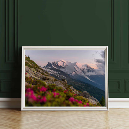 Mont Blanc massif at sunset with striking foreground flowers in Chamonix print