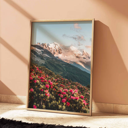 Alpine meadow with rhododendrons and Mont Blanc massif