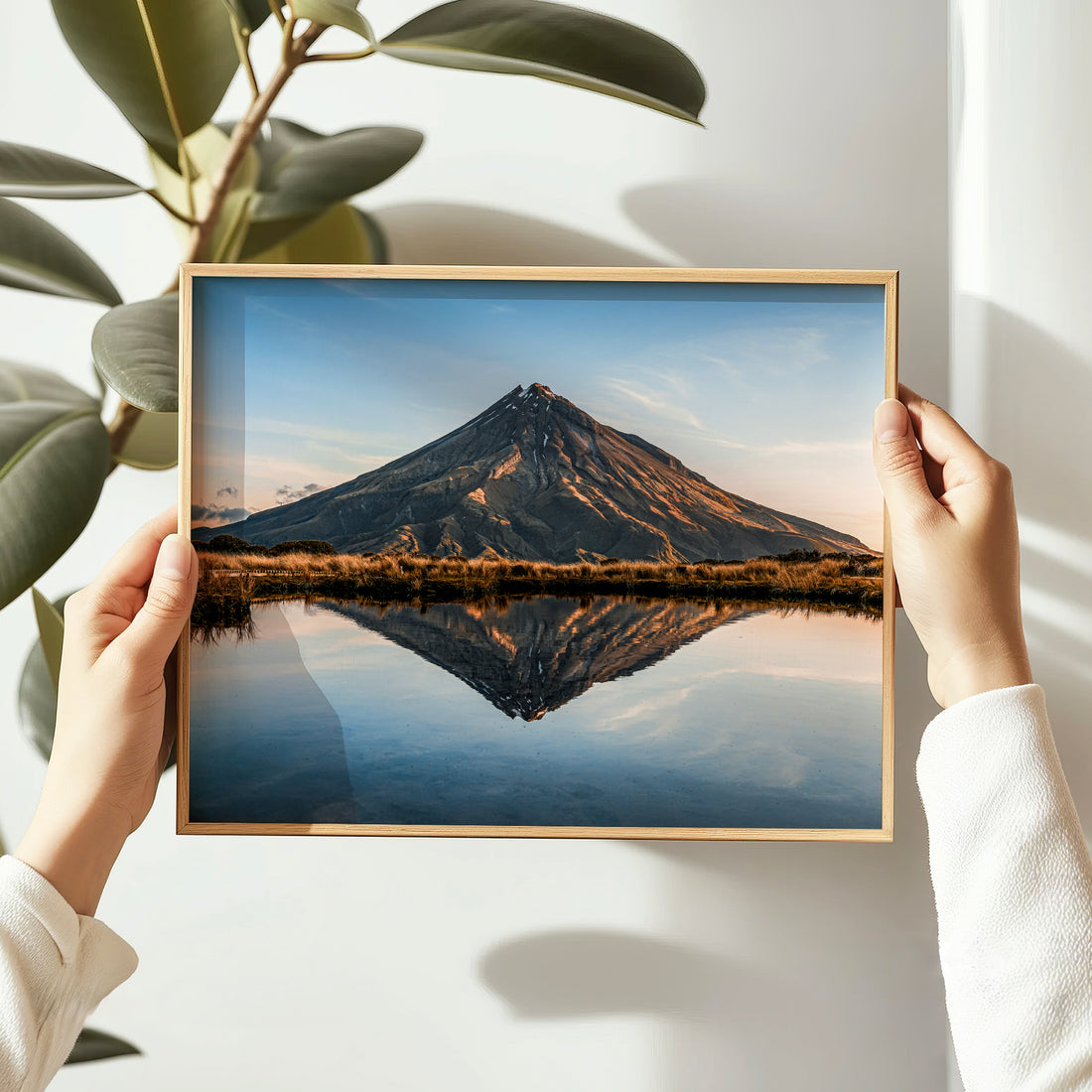 Hands holding framed Mount Taranaki reflection tarn photography print in natural oak frame beside indoor plant