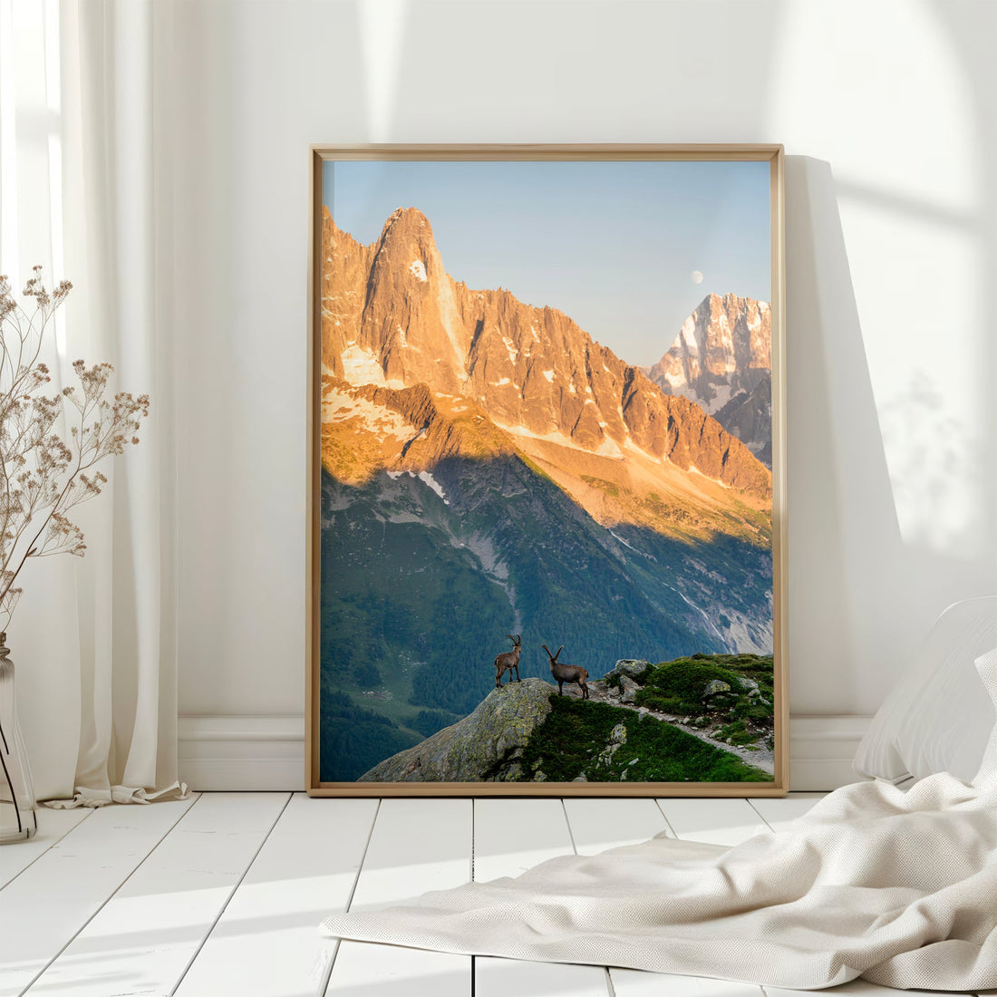 Scenic photography print of mountain goats on a rugged alpine path with breathtaking Mont Blanc views.